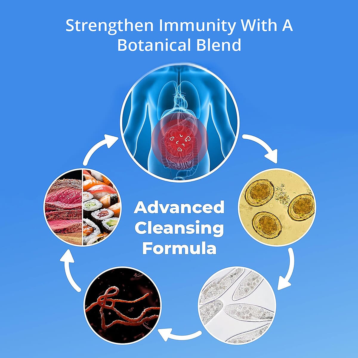 PureHealth Research Gut Antioxidants Dietary Supplement 60 Vegetarian Capsules image number 4