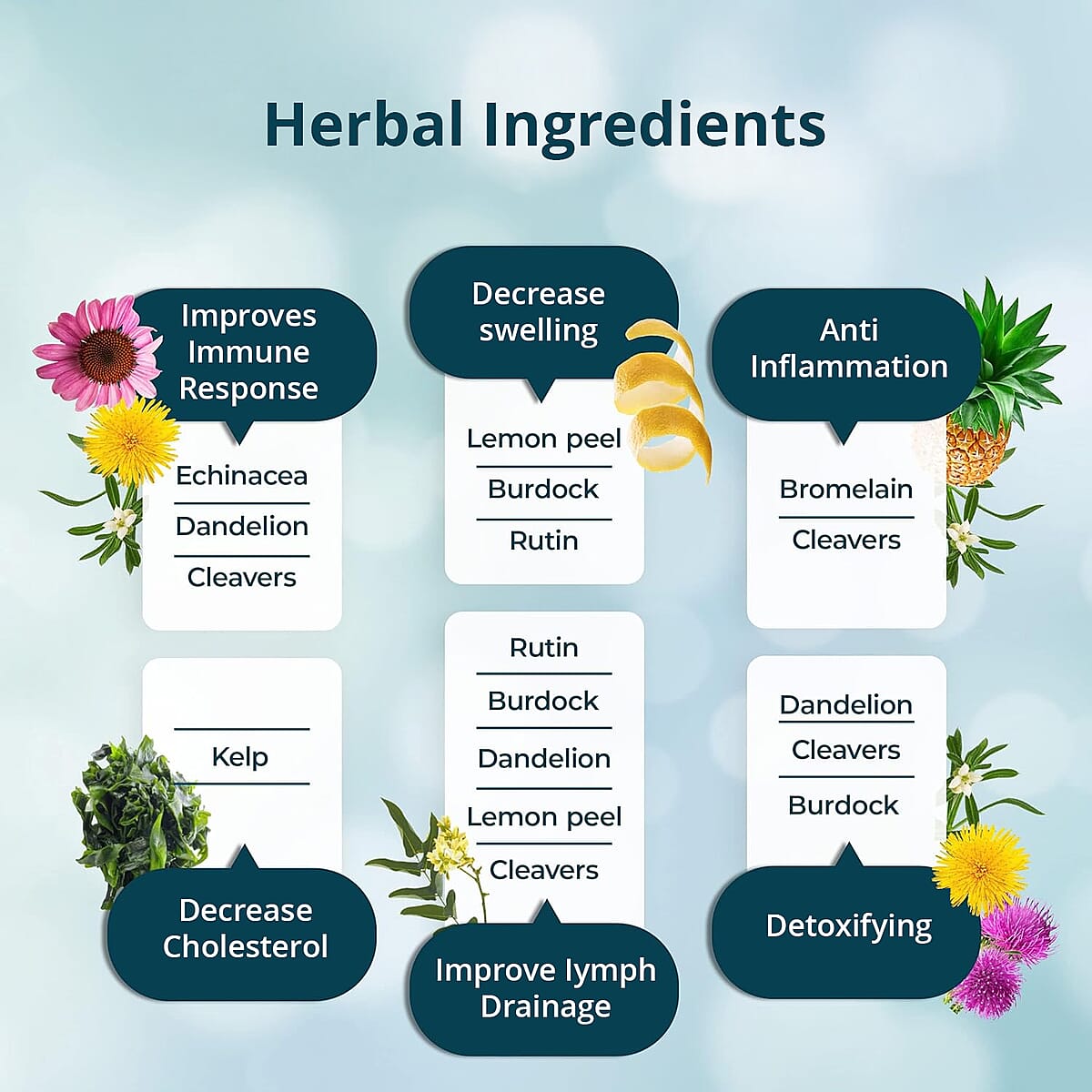 PureHealth Research Lymph System Support Dietary Supplement 60 Vegetarian Capsules image number 3