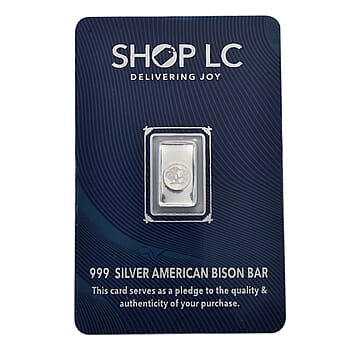 American Bison - Product card gallery slide 1 (10177953857849)