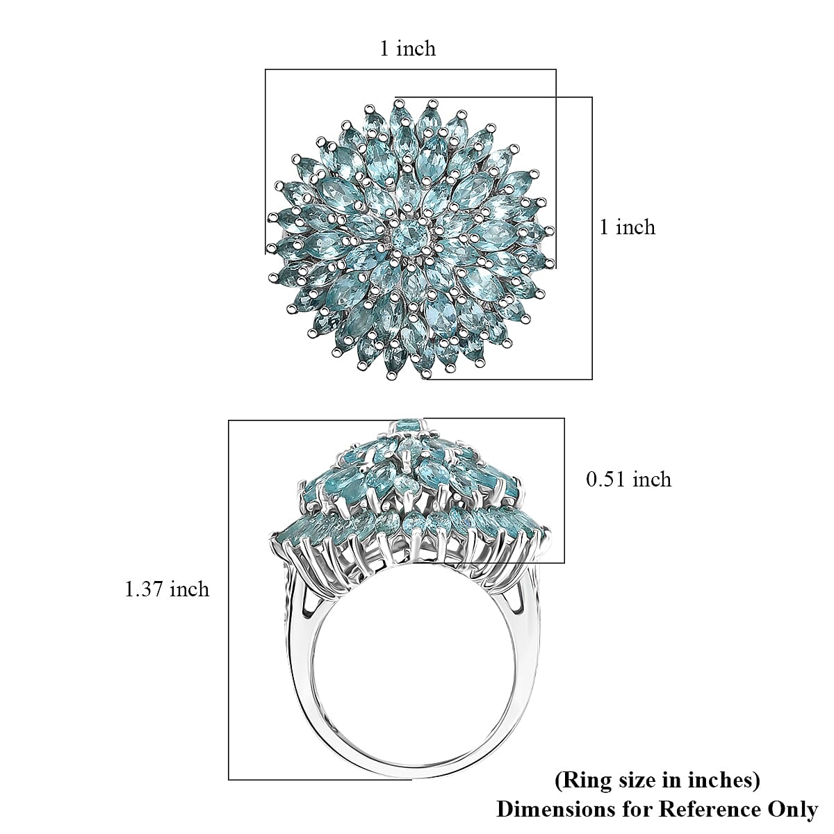 D'Joy Lagoon Apatite 5.85 ctw Chrysanthemum Flower Ring in Rhodium Over Sterling Silver (Size 6.0)