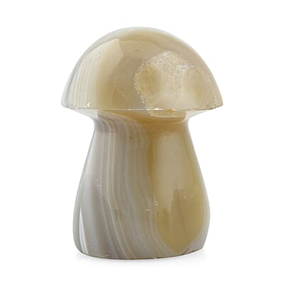 Agate Mushroom -M Approx 676.5ctw