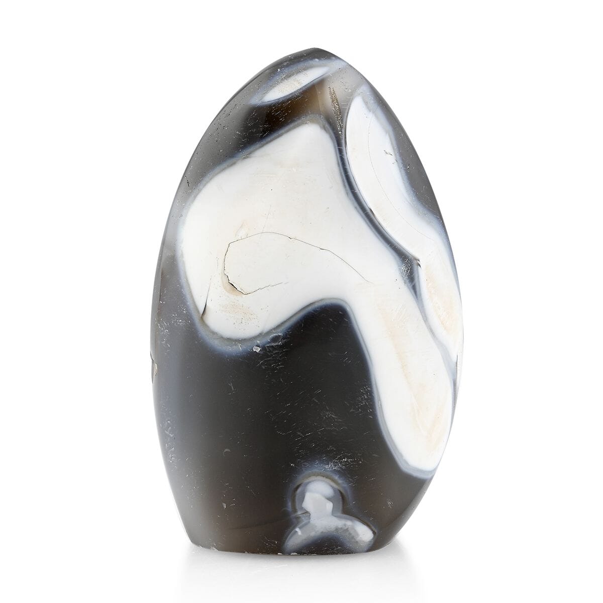 Agate Black Flower Free Form -M Approx 1587ctw image number 0
