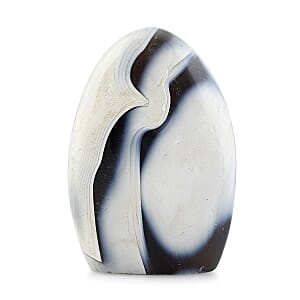 Agate Black Flower Free Form -S Approx 907ctw