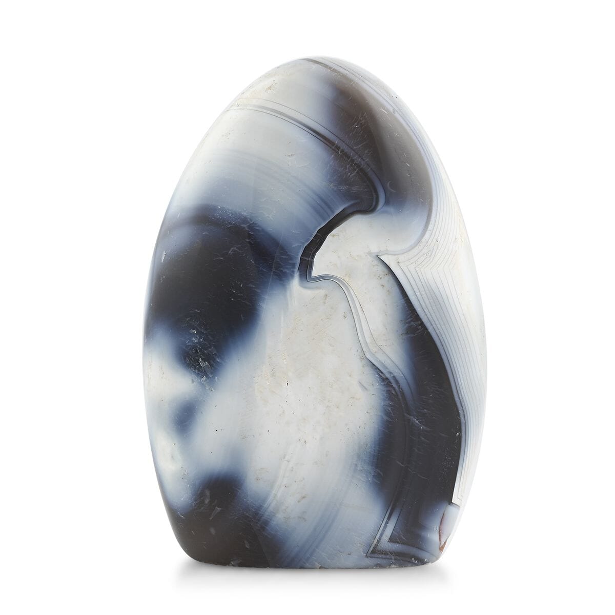 Agate Black Flower Free Form -S Approx 907ctw image number 1