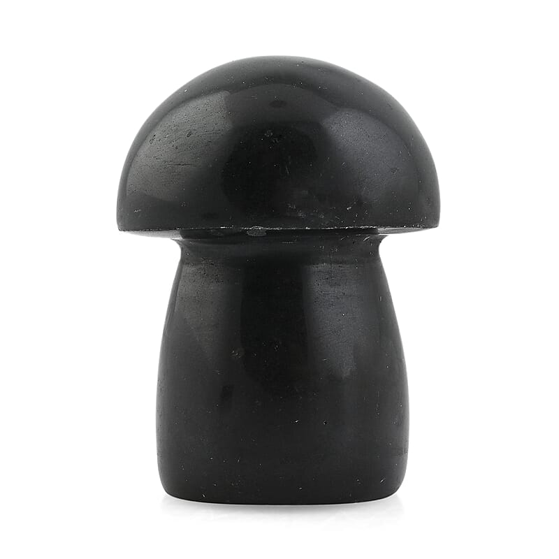 Lava Stone Mushroom -L Approx 907ctw