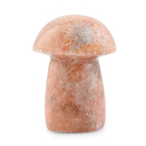 Cipollino Orange Mushroom -L Approx 593ctw