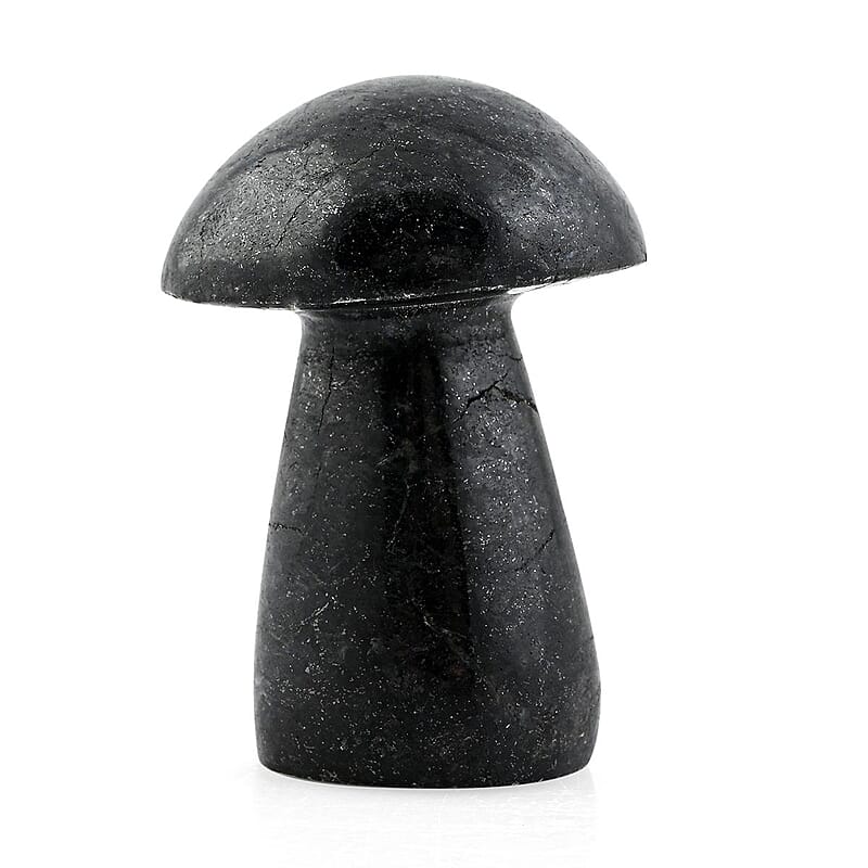 Nuummite Mushroom -L Approx 658ctw