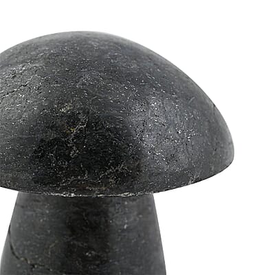 Nuummite Mushroom -L Approx 658ctw