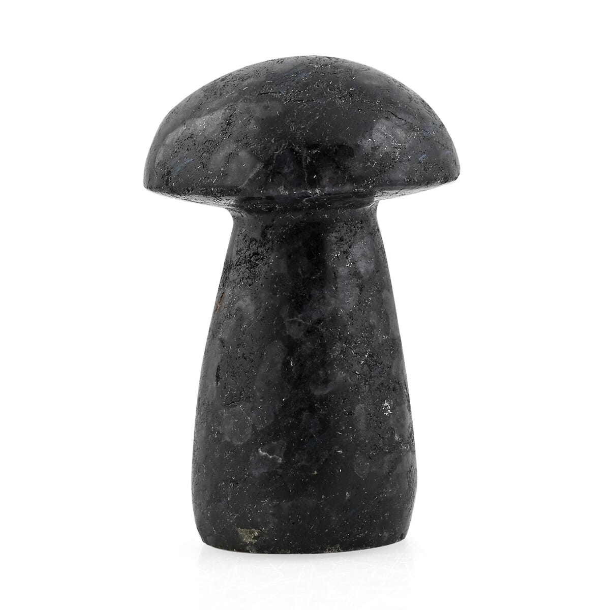 Nuummite Mushroom -M Approx 407ctw image number 1