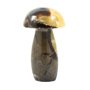 Dragon Stone Mushroom -L Approx 907ctw