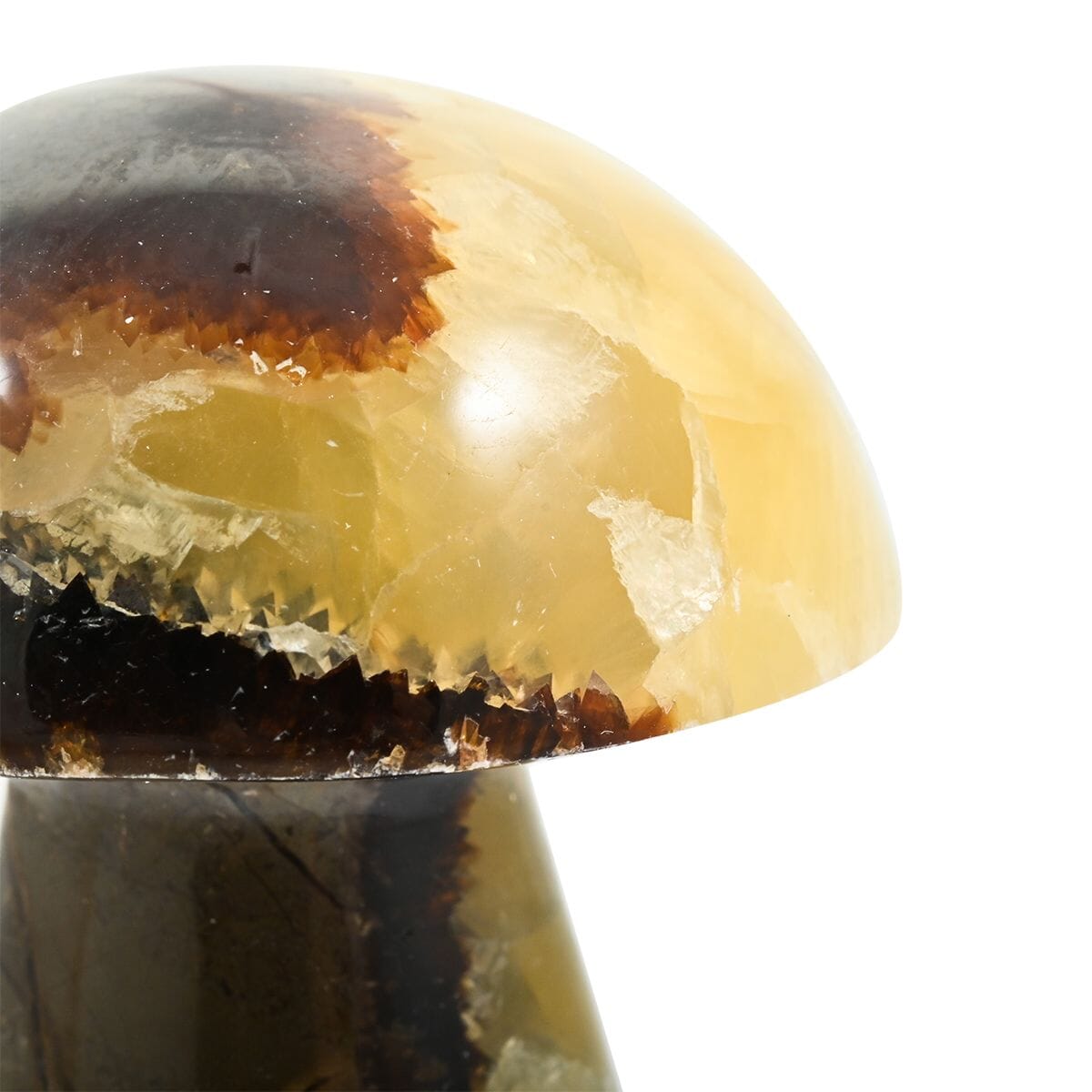 Dragon Stone Mushroom -L Approx 907ctw image number 2