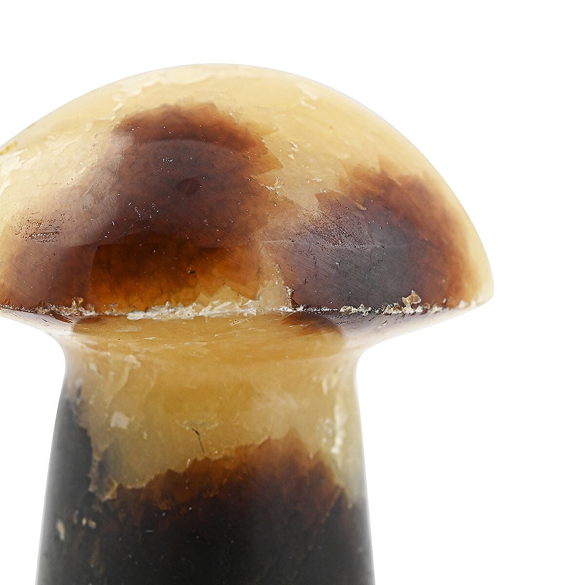 Dragon Stone Mushroom -S Approx 304ctw image number 2
