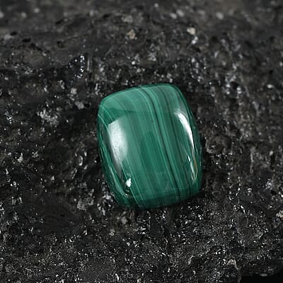 African Malachite (Cush 12x10 mm) 5.91 ctw Loose Gemstone