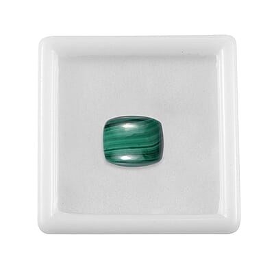 African Malachite (Cush 12x10 mm) 5.91 ctw Loose Gemstone