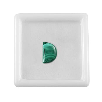 Default Title - Product card gallery slide 4 (10178046558521)