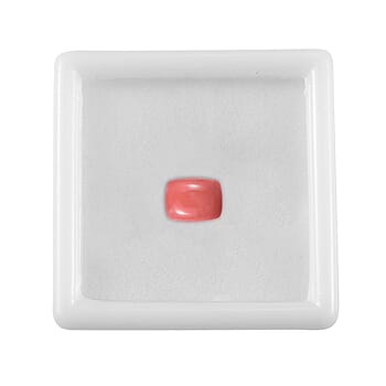 Default Title - Product card gallery slide 4 (10178046361913)
