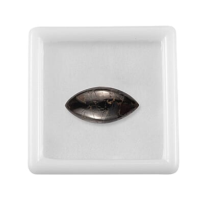 Matrix Silver Shungite (Mrq 20x10 mm) 4.30 ctw Loose Gemstone