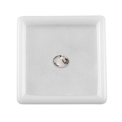 White Buffalo (Oval 7x5 mm) 0.60 ctw Loose Gemstone