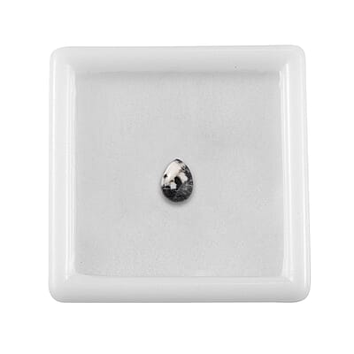 White Buffalo (Pear 7x5 mm) 0.60 ctw Loose Gemstone