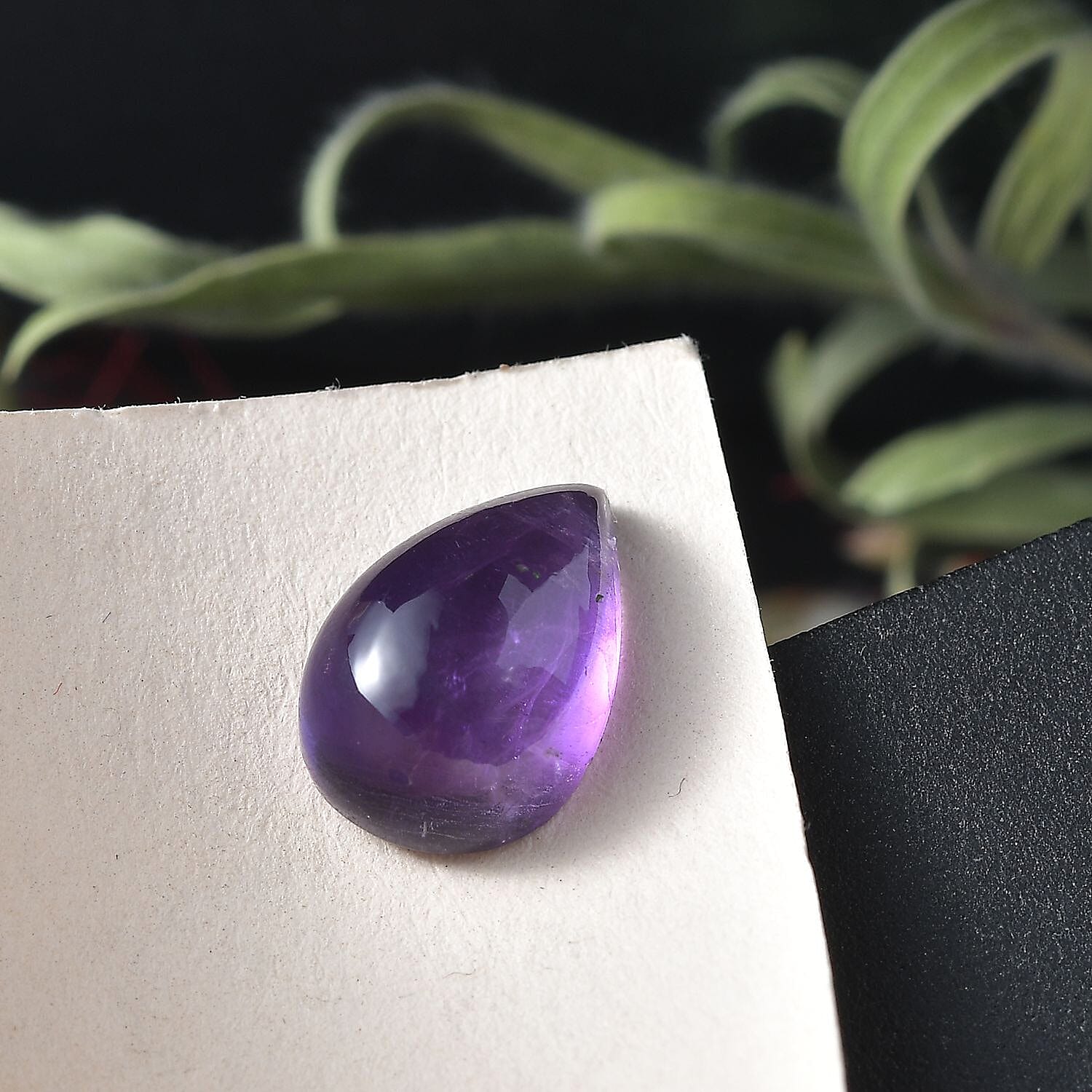 Default Title - Product card gallery slide 2 (10146165424411)