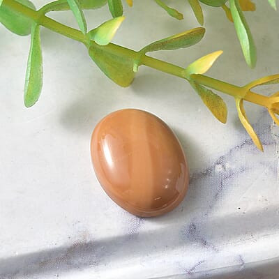 Oregon Chocolate Caramel Opal (Ovl 18x13 mm) 6.64 ctw Loose Gemstone