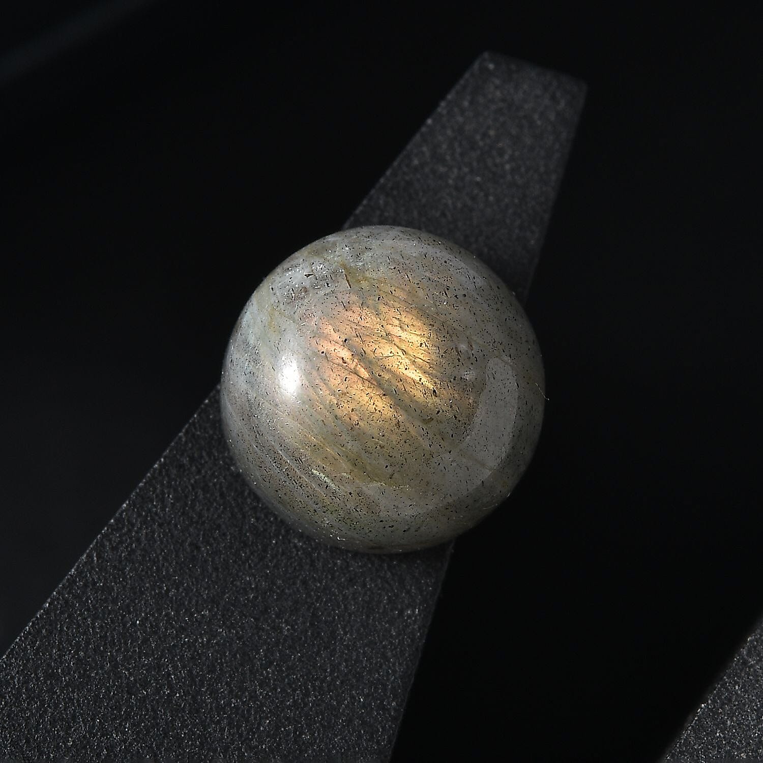 Default Title - Product card gallery slide 2 (10146165850395)