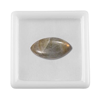 Fire Labradorite (Mrq 20x10 mm) 7.40 ctw Loose Gemstone
