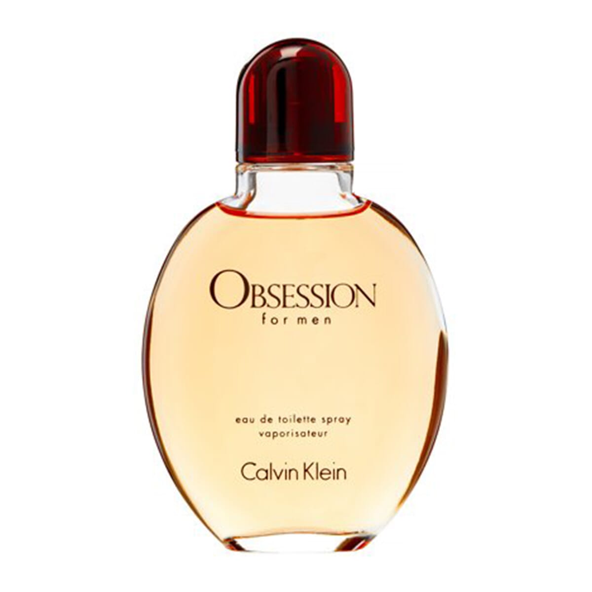Calvin Klein Obsession Edt Spray 4.2 Oz  image number 0