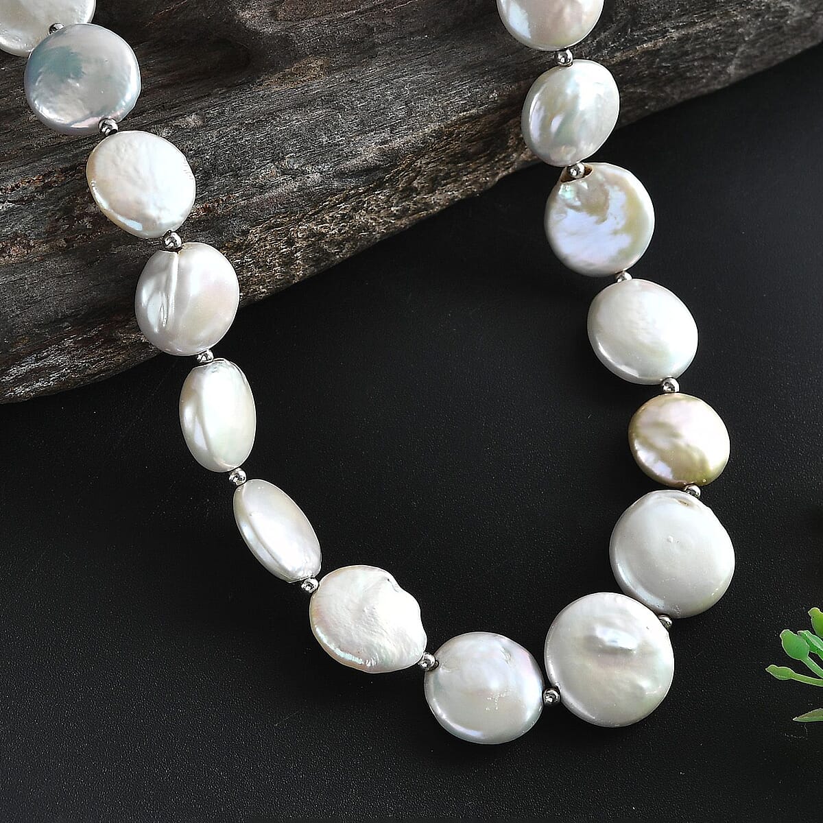White Freshwater Coin Pearl Necklace in Rhodium Over Sterling Silver 18 Inches image number 1