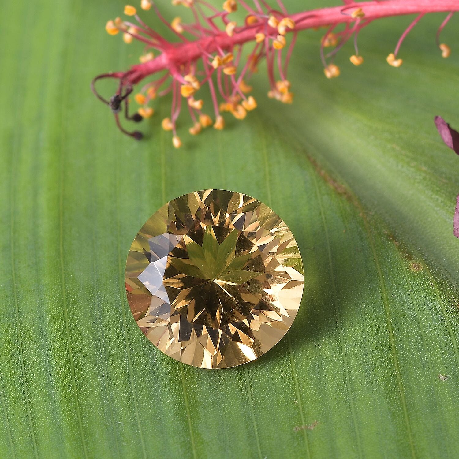 Default Title - Product card gallery slide 2 (10146175353115)