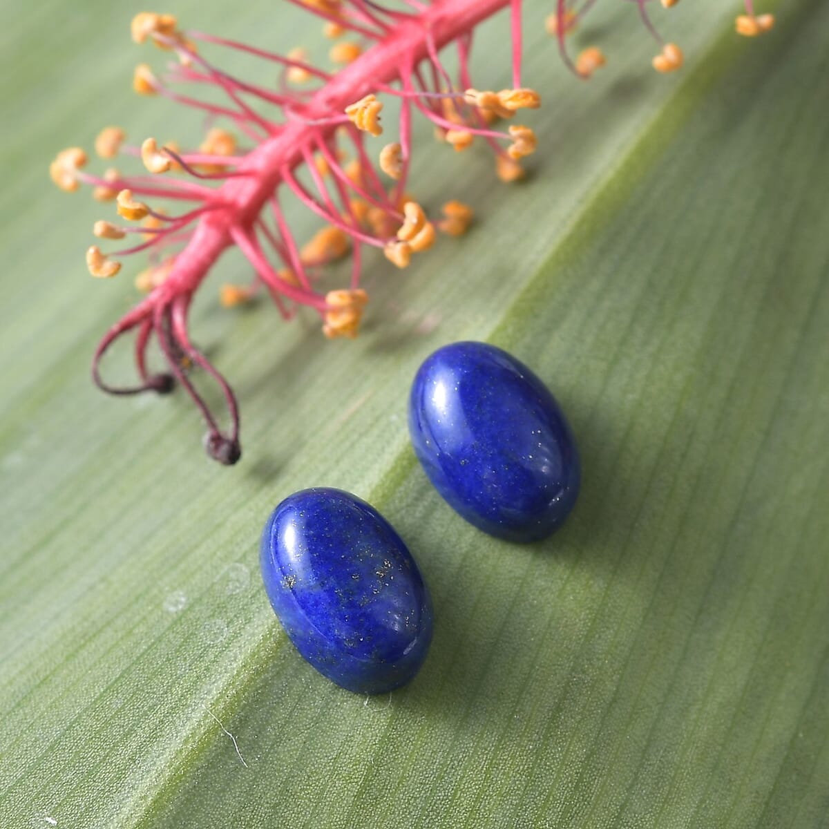 Lapis Lazuli Set of 2 (Ovl 6x4 mm) 1.00 ctw Loose Gemstone image number 1