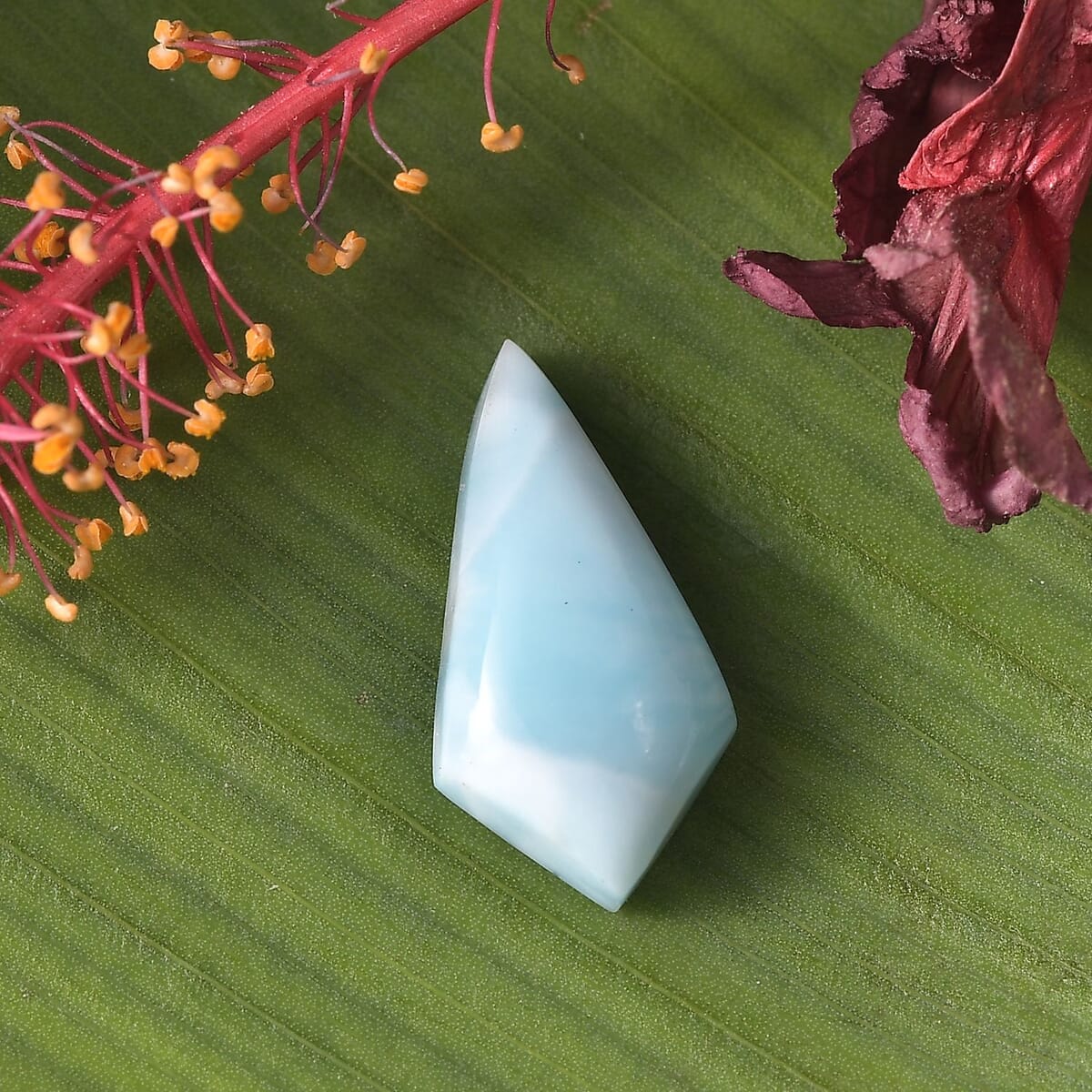 AA Larimar (Kite 16x8 mm) 3.00 ctw Loose Gemstone image number 1
