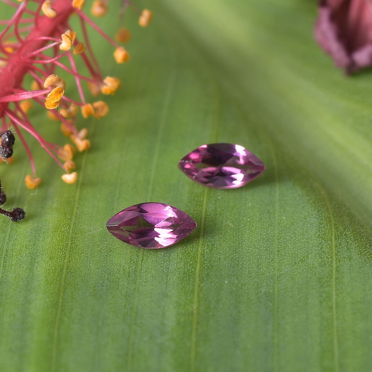 Orissa Rose Garnet Set of 2 (Mrq 5x2.5 mm) 0.33 ctw Loose Gemstone image number 1