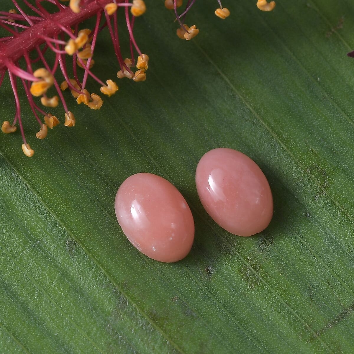 AAA Peach Opal Set of 2 (Ovl 6x4 mm) 0.54 ctw Loose Gemstone image number 1