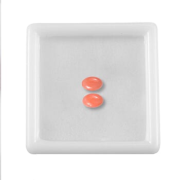 Default Title - Product card gallery slide 4 (10178058027321)