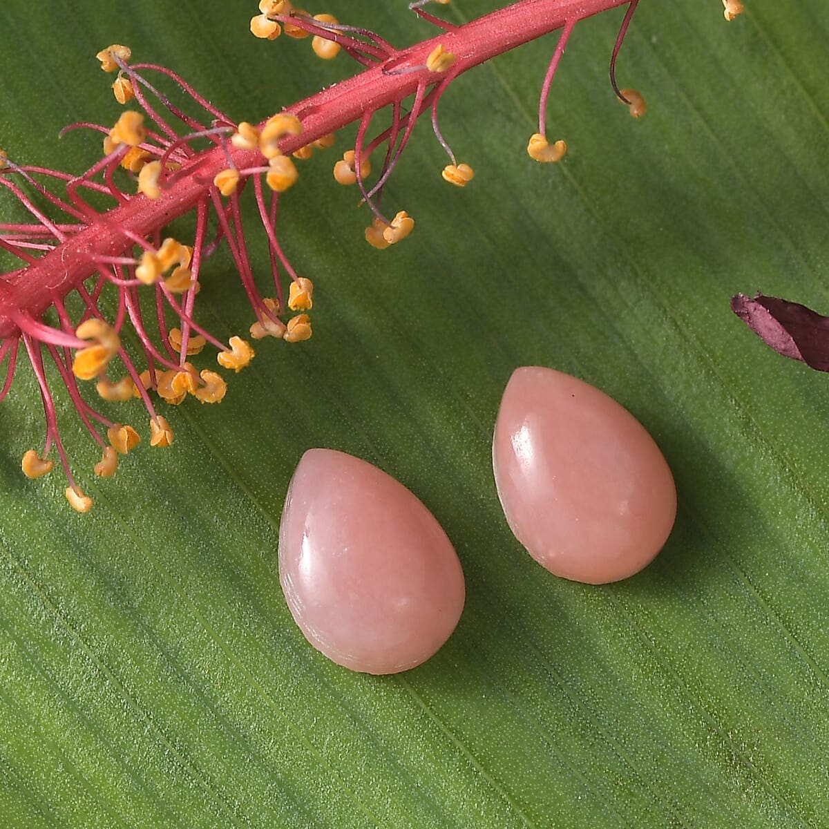 Set of 2 AA Peruvian Pink Opal (Pear 7x5 mm) 1.14 ctw Loose Gemstone image number 1