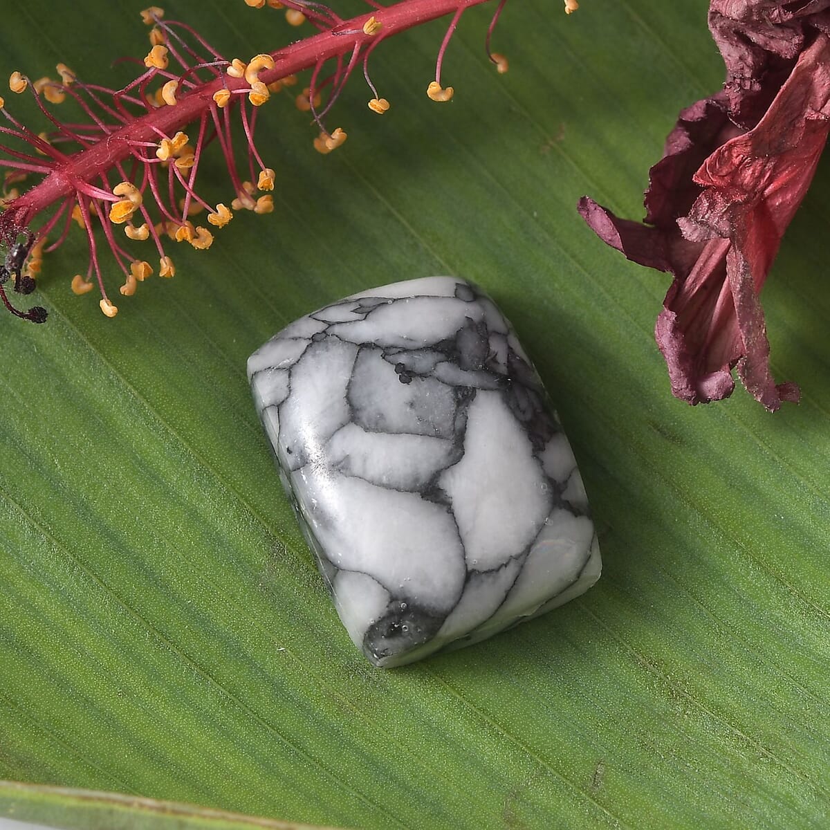 Austrian Pinolith (Cush 16x13 mm) 9.60 ctw Loose Gemstone image number 1