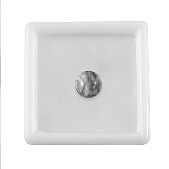 Default Title - Product card gallery slide 4 (10178059534649)