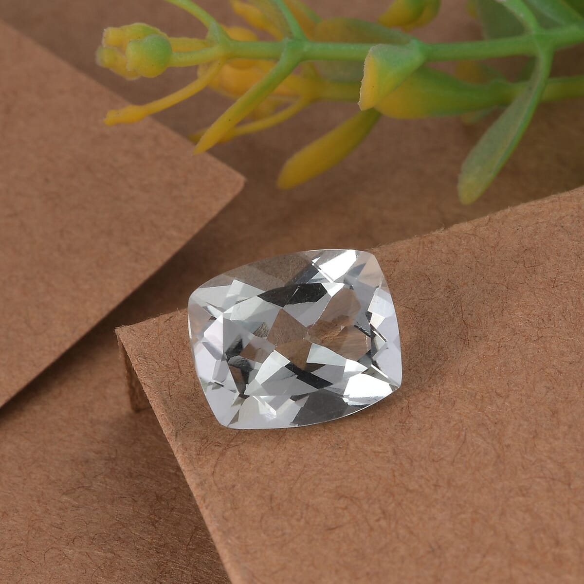 Montezuma Prasiolite (Cush 12x10 mm) 5.00 ctw Loose Gemstone image number 1