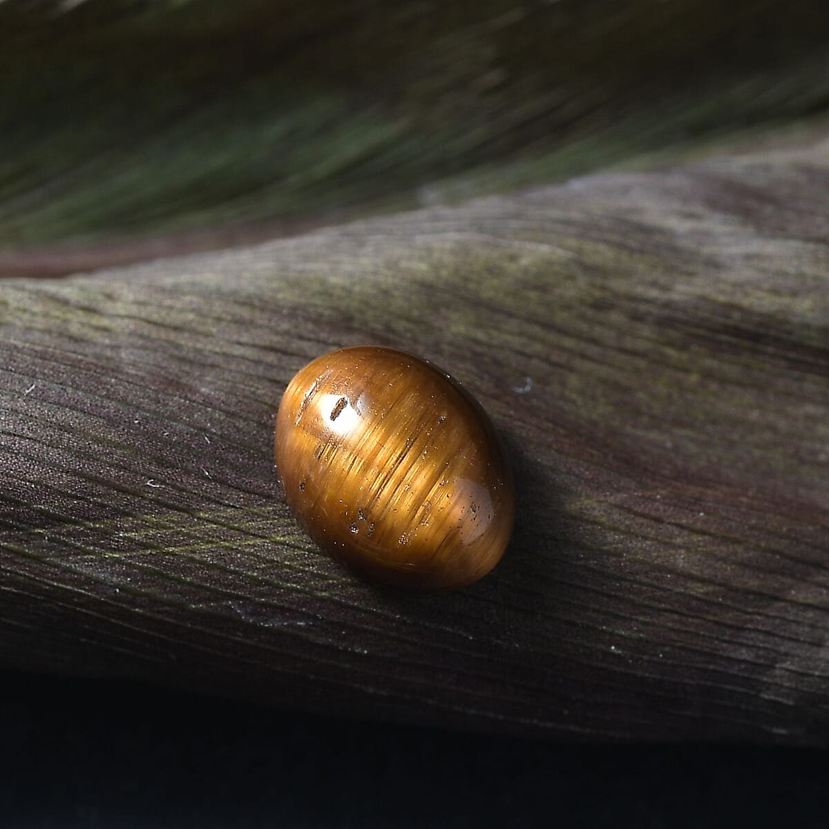 Tigers Eye (Ovl 8x6 mm) 1.09 ctw Loose Gemstone image number 1