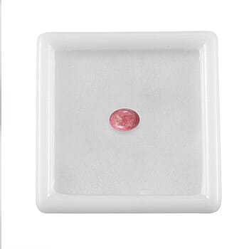 Default Title - Product card gallery slide 4 (10178060583225)