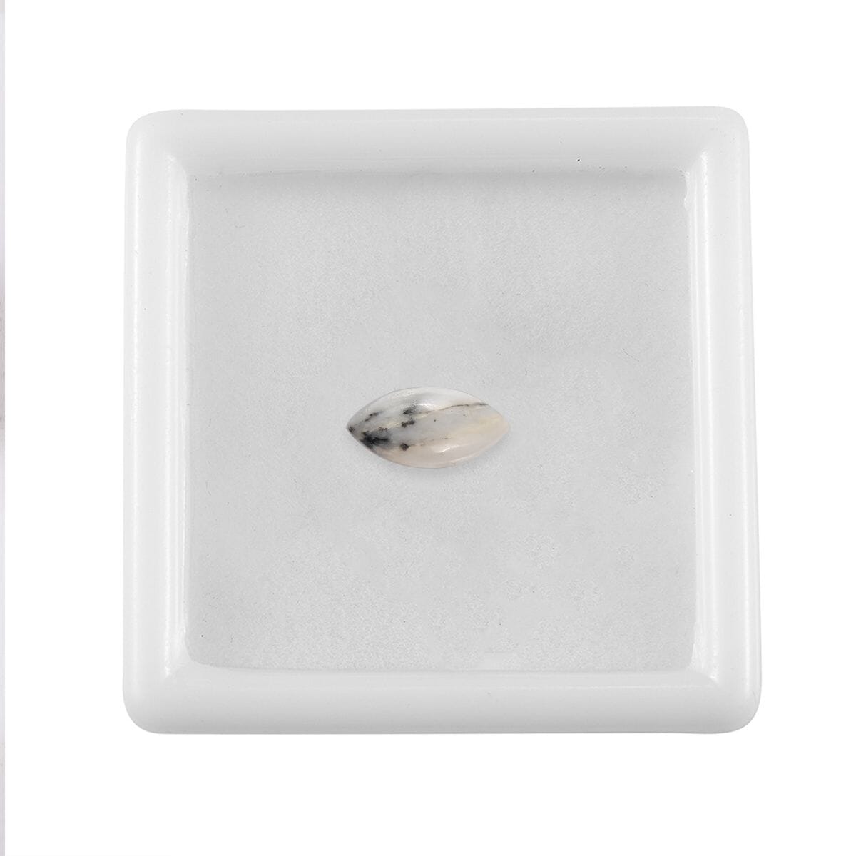 White Buffalo (Mrq 10x5 mm) 0.80 ctw Loose Gemstone image number 3