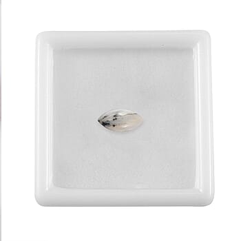 Default Title - Product card gallery slide 4 (10178060910905)