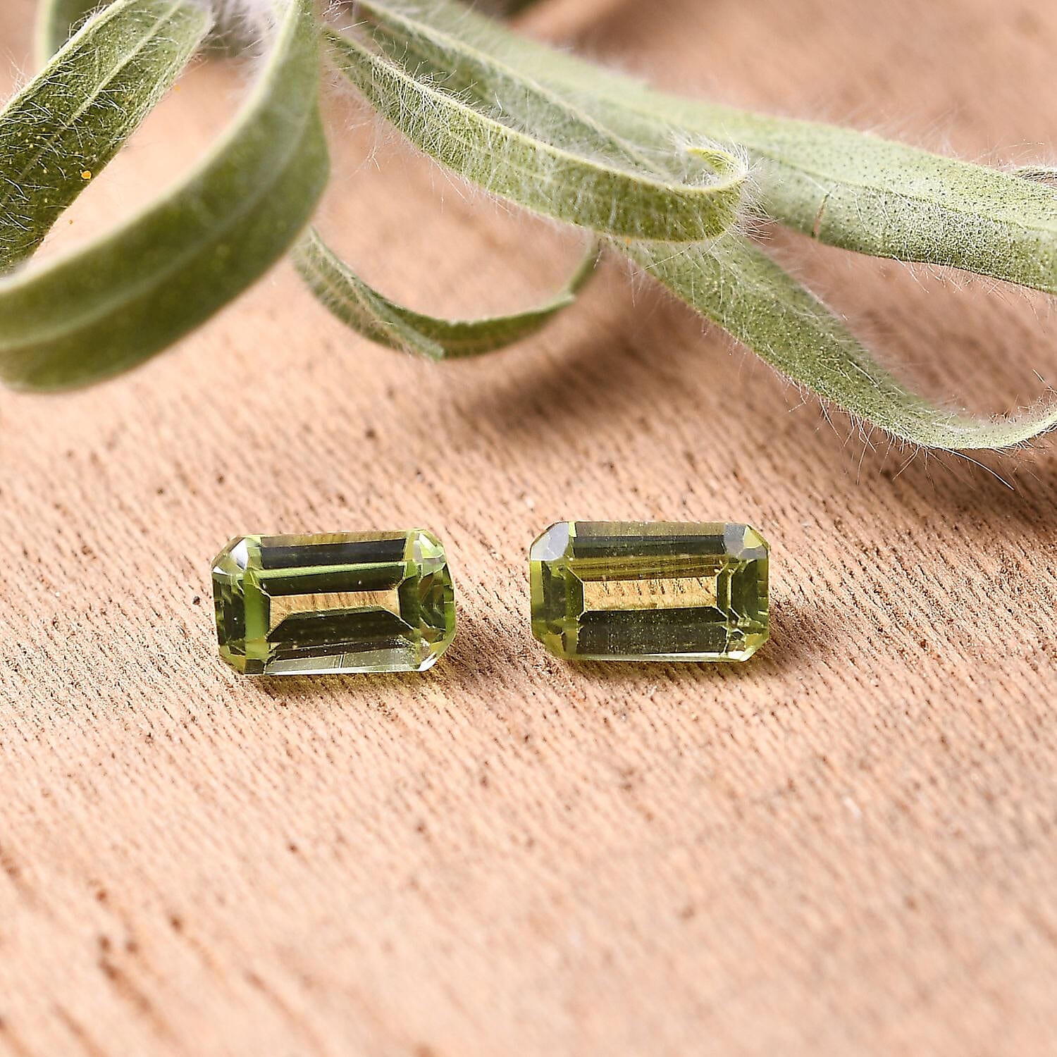 Default Title - Product card gallery slide 2 (10146181906715)