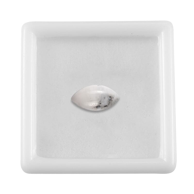 White Buffalo (Mrq 8x4mm) 0.55 ctw Loose Gemstone