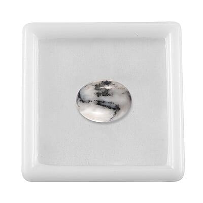 White Buffalo (Ovl 9x7 mm) 1.80 ctw Loose Gemstone