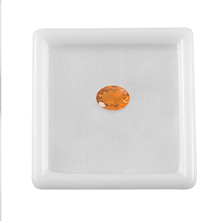 Default Title - Product card gallery slide 4 (10178061893945)