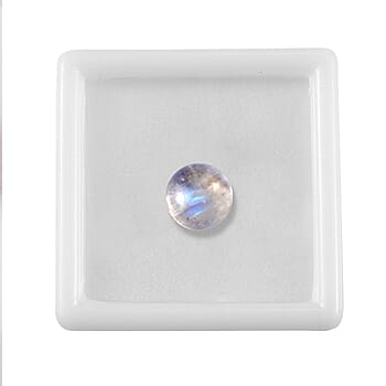 Default Title - Product card gallery slide 4 (10178063860025)