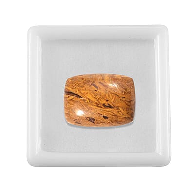 Script Stone (Cush 20x15 mm) 11.40 ctw Loose Gemstone