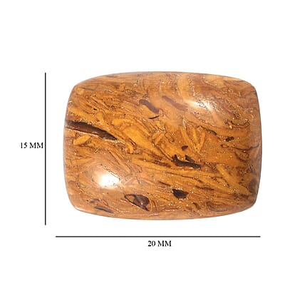 Script Stone (Cush 20x15 mm) 11.40 ctw Loose Gemstone